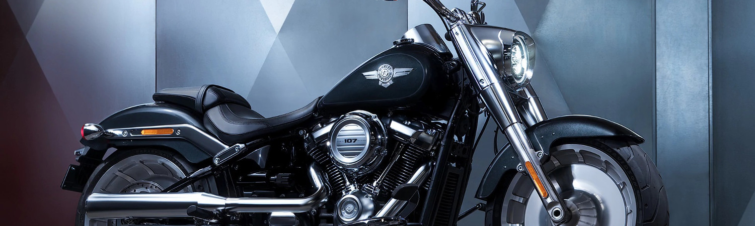 2018 Harley-Davidson® Softail® for sale in District Harley-Davidson®, Gaithersburg, Maryland